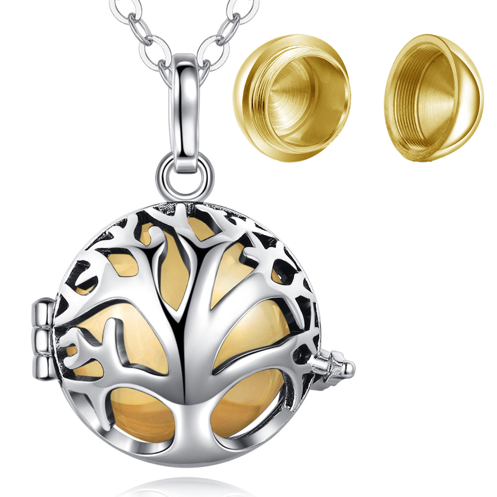 Merryshine Cremation Jewelry Hollow Cage Urns Keepsake Locket Pendant Necklace for Pet Ashes